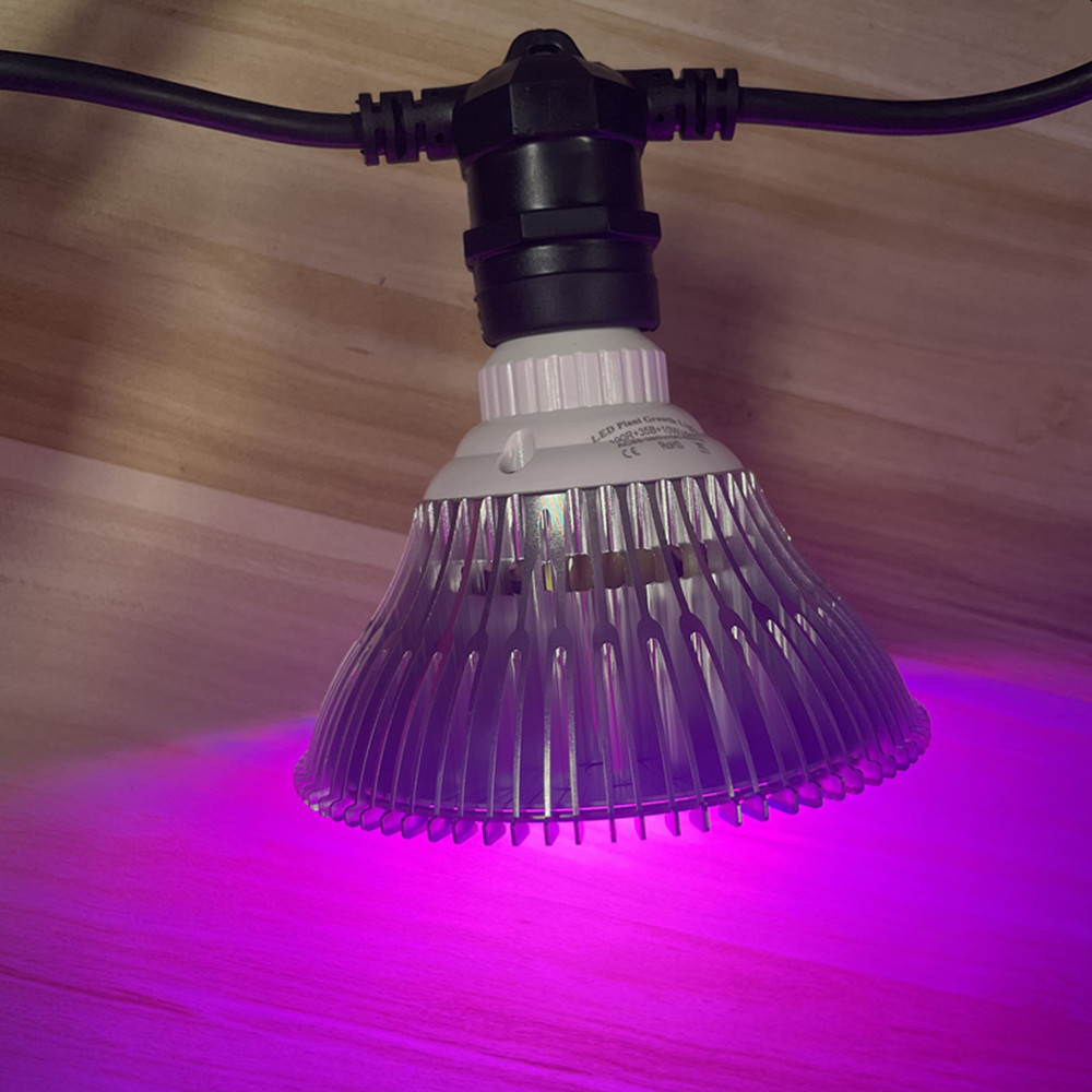10M Cable LED String Commercia - đánh giá và giá Outdoor Lighting Quality