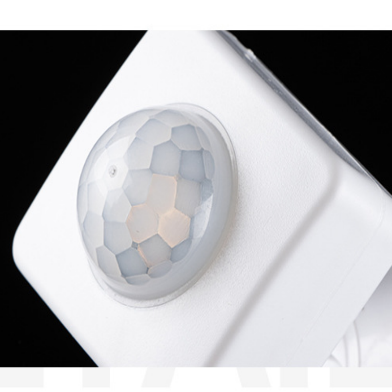 Outdoor LED Lamp PIR Human Bod - đánh giá và giá Outdoor Lighting Timer Switch