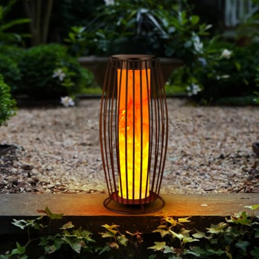 ZHIYUN Molus X100 100W COB LED - đánh giá và giá Outdoor Lighting Video Shooting