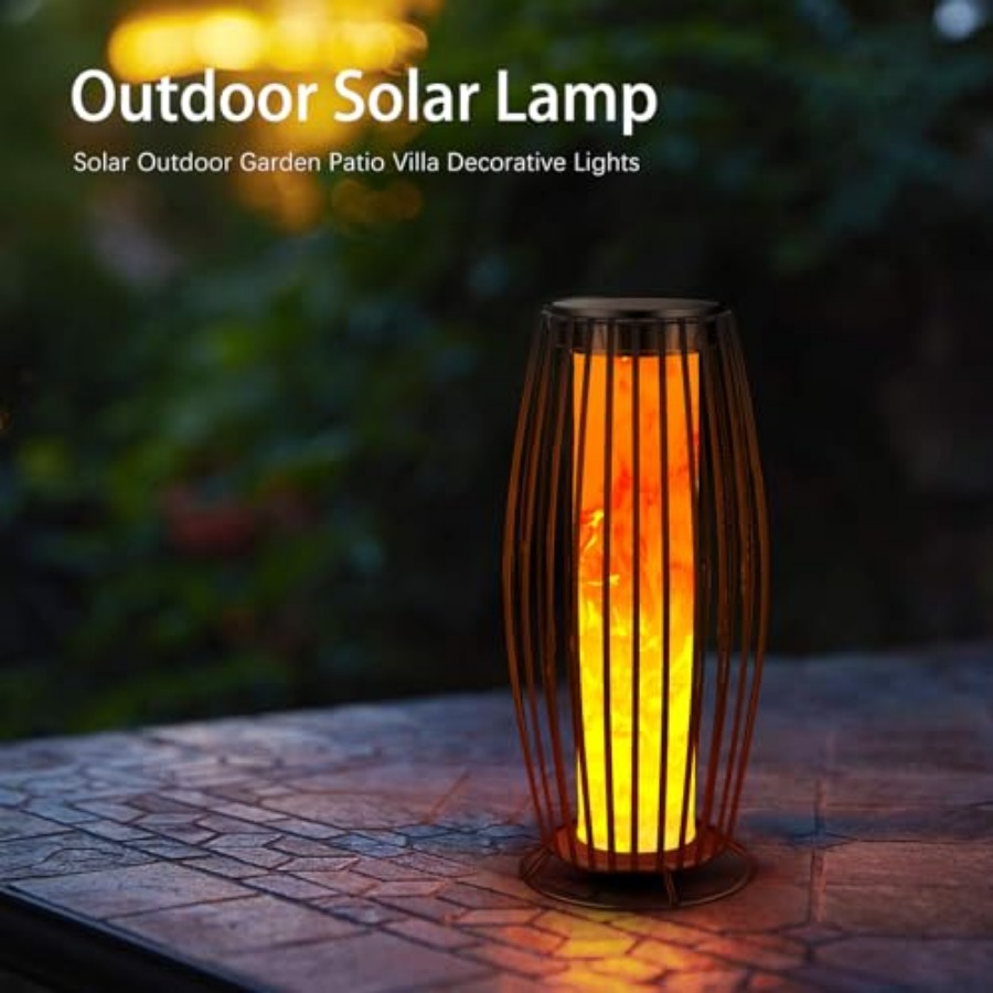 ZHIYUN Molus X100 100W COB LED - đánh giá và giá Outdoor Lighting Video Shooting