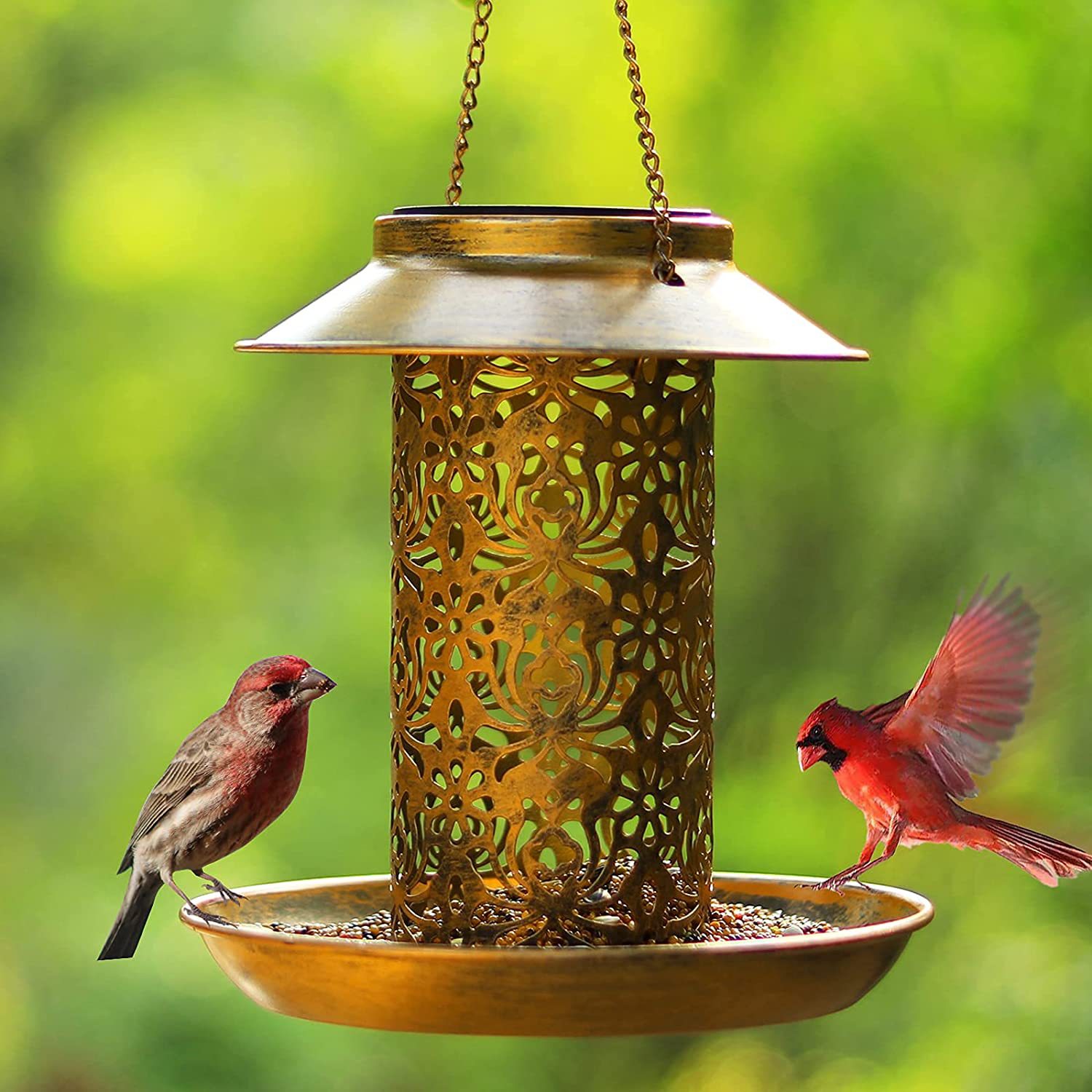 Hanging Bird House Metal Outdo - đánh giá và giá Outdoor Lighting Ideas For Backyard