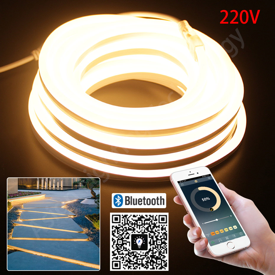 LED Neon Strip 220V 2835 120 L - đánh giá và giá Outdoor Lighting Timer Switch