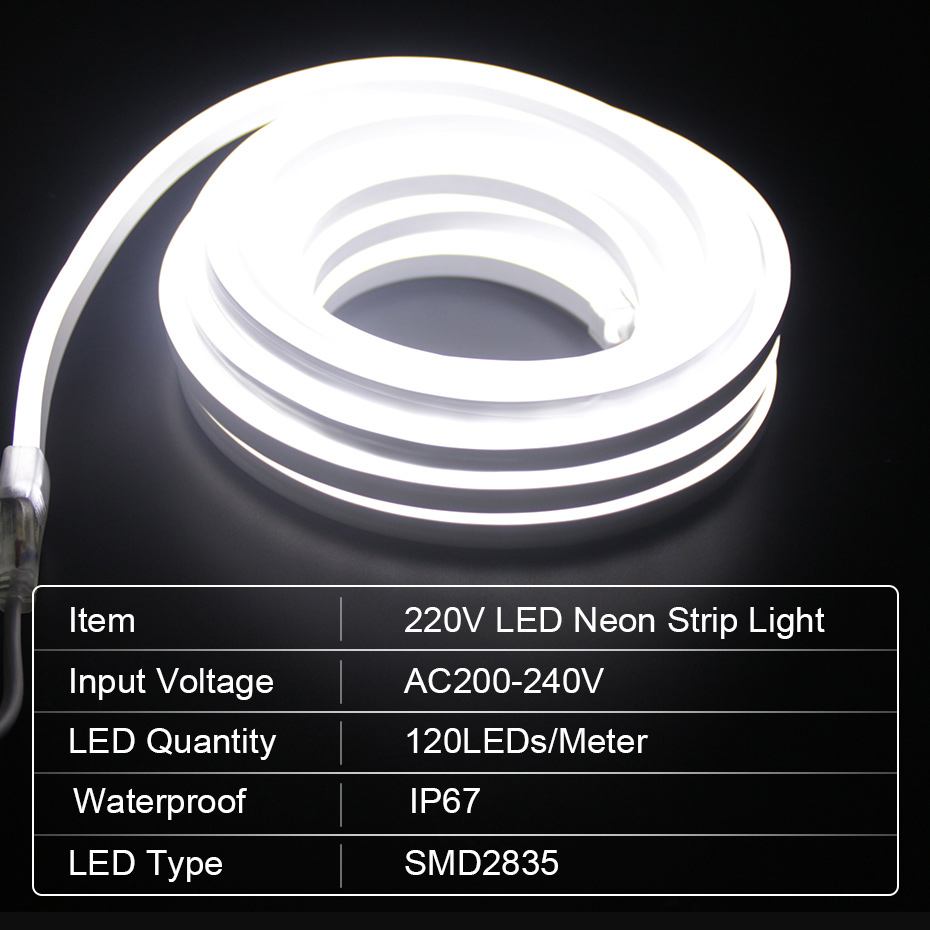 LED Neon Strip 220V 2835 120 L - đánh giá và giá Outdoor Lighting Timer Switch